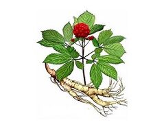 Ginseng Root fir Potenz ze erhéijen